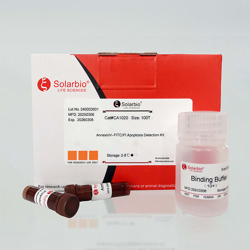 Cell Detection Kit