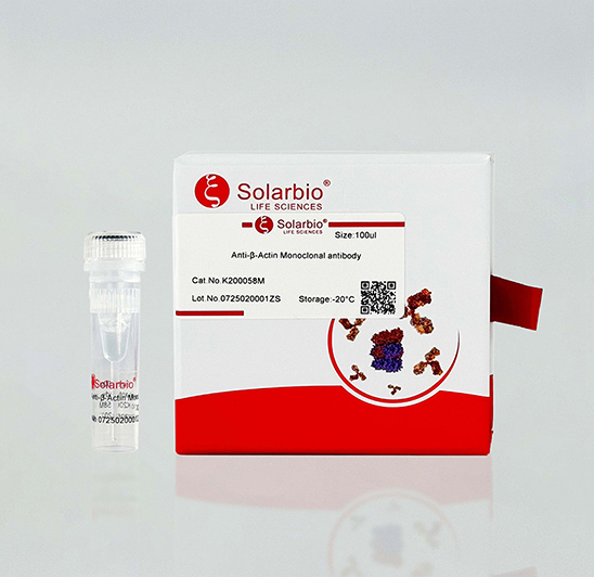 Custom Antibody