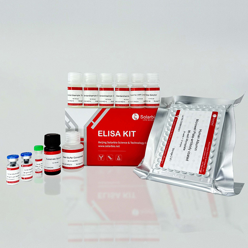 ELISA Kit