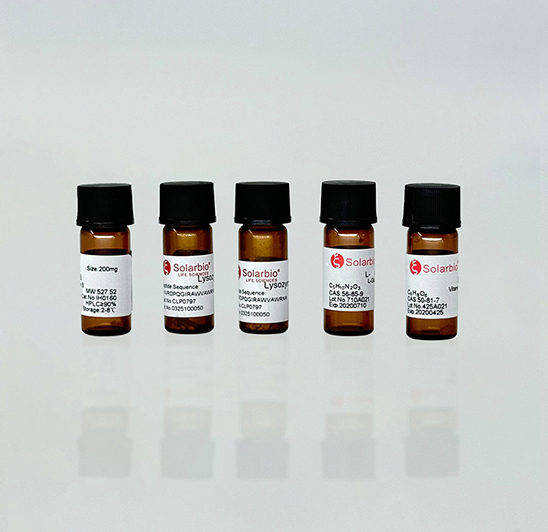 Peptide Synthesis
