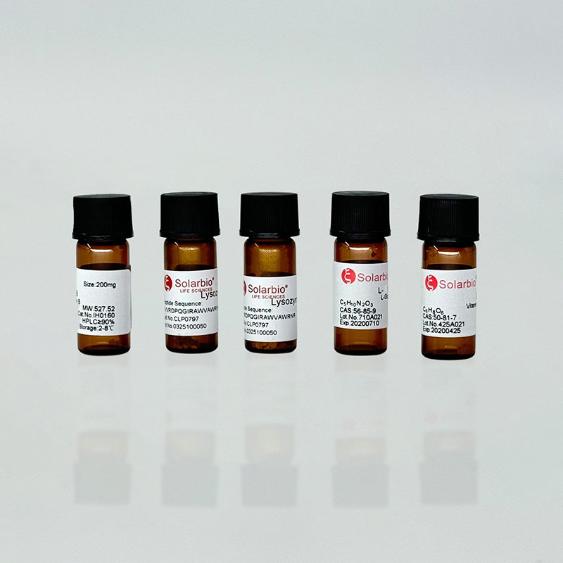 Peptide Synthesis