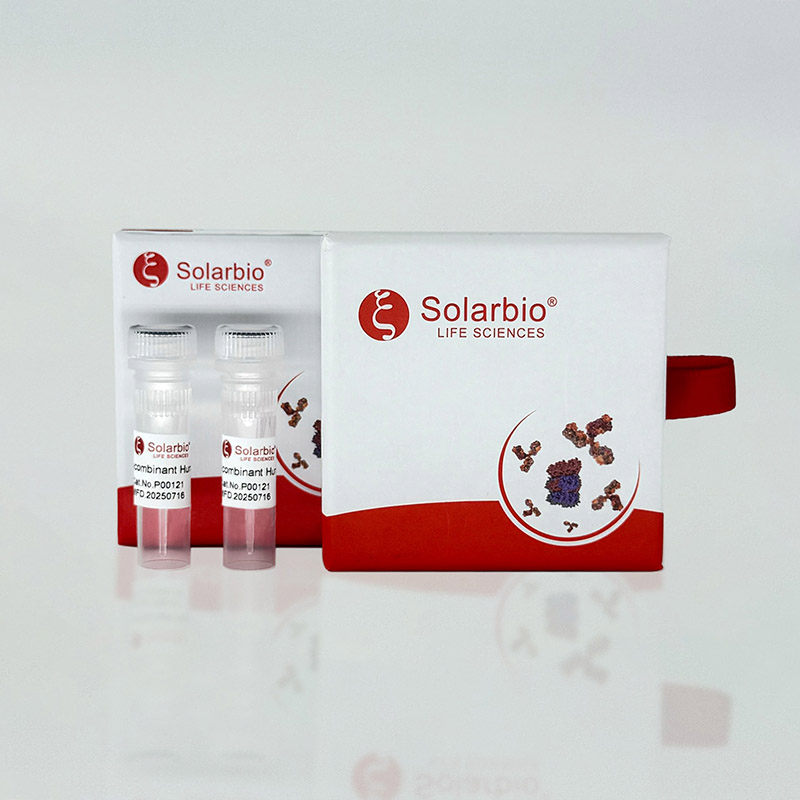 Protein Expression