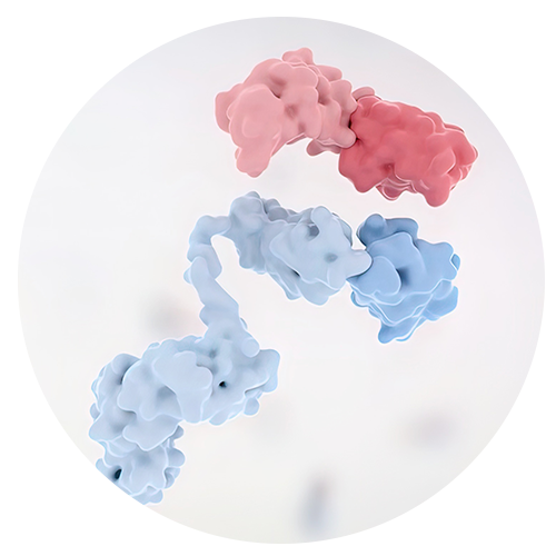 Growth Factors