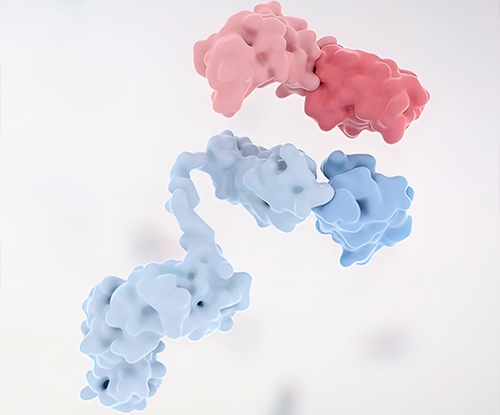 Growth Factors