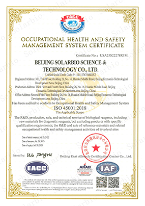 ISO45001