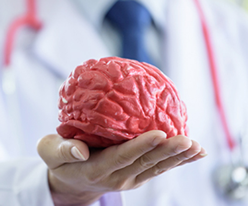 The Eraser in the Brain – Alzheimer's Disease