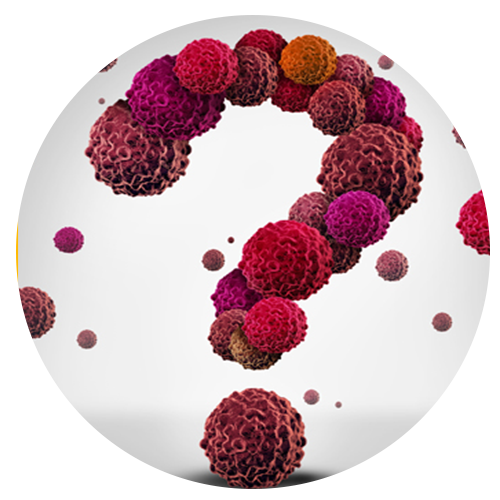 Tumor Necrosis Factor Superfamily (TNFSF)