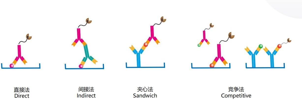 What are the types of ELISA?