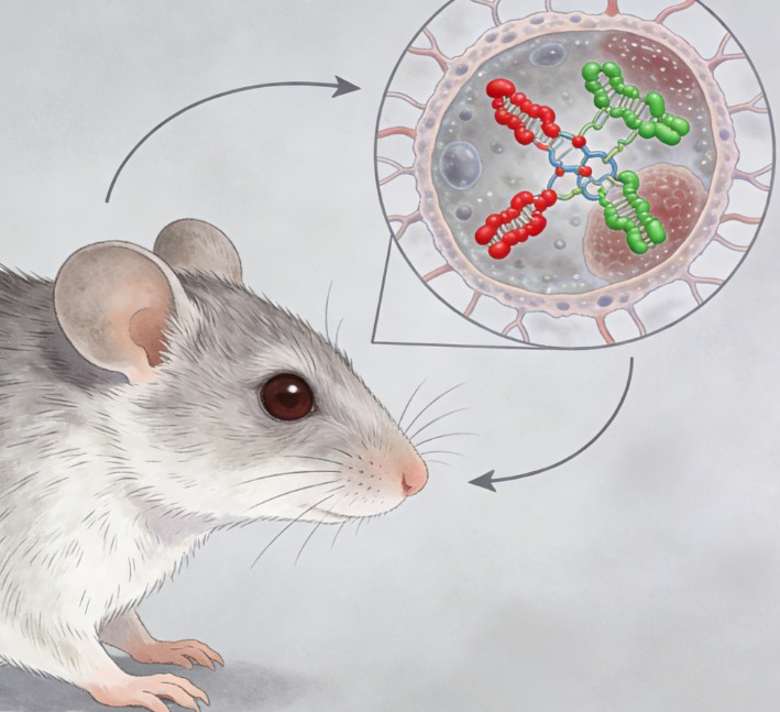 Why Are Transgenic Mouse Models Transforming Antibody Production