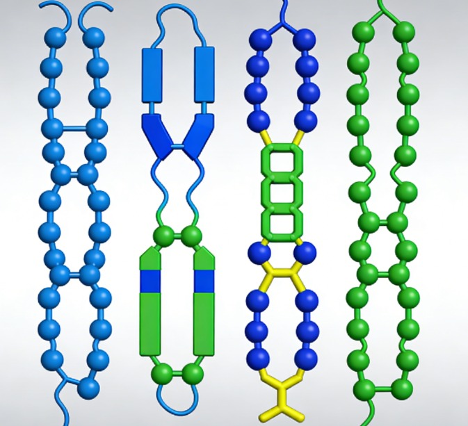 모노클론 항체의 4가지 유형