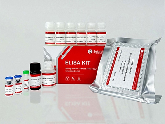 How to Optimize Your ELISA Experiments for Maximum Accuracy and Efficiency