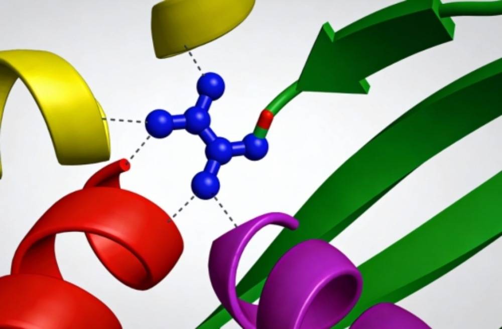 Off-Target Effects of Small Molecules: Mechanisms, Identification, and Control Strategies for Reliable Experimental Outcomes Off-Target Effects of Small Molecules: Mechanisms, Identification, and Control Strategies for Reliable Experimental Outcomes