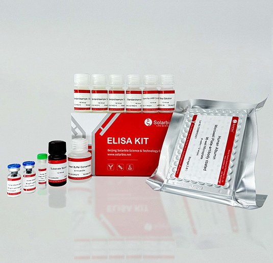 What Is the Principle and Method Behind ELISA Testing