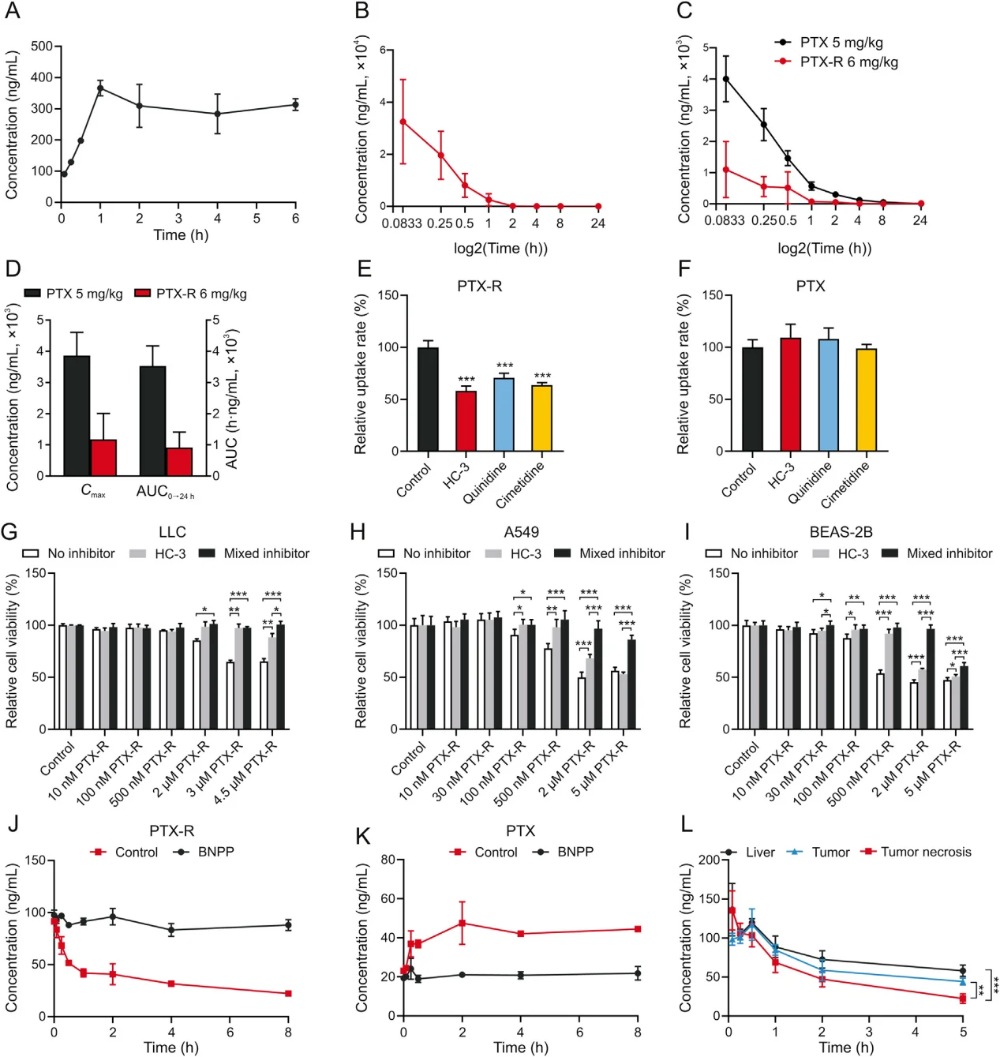 Cimetidine-related transport, pharmacokinetic, and cell-response data