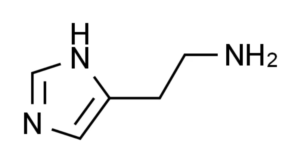 Histamine Receptors: More Than Allergy Targets in Small Molecule Drug Research Histamine Receptors: More Than Allergy Targets in Small Molecule Drug Research
