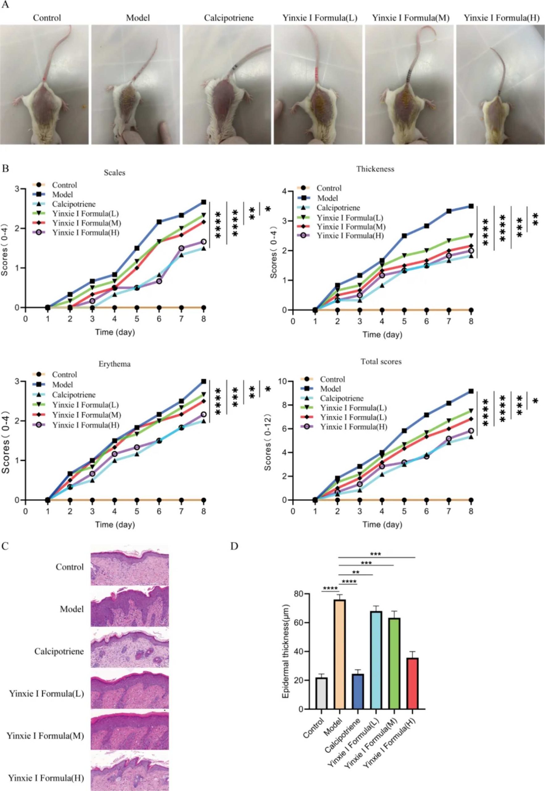 Toll-like Receptors (TLRs): Immune Sentinels and Core Targets in Immune Regulation Toll-like Receptors (TLRs): Immune Sentinels and Core Targets in Immune Regulation