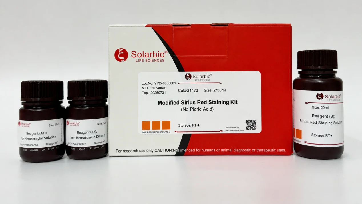 G1472 Modified Sirius Red Staining Kit supports collagen fiber staining in tissue sections