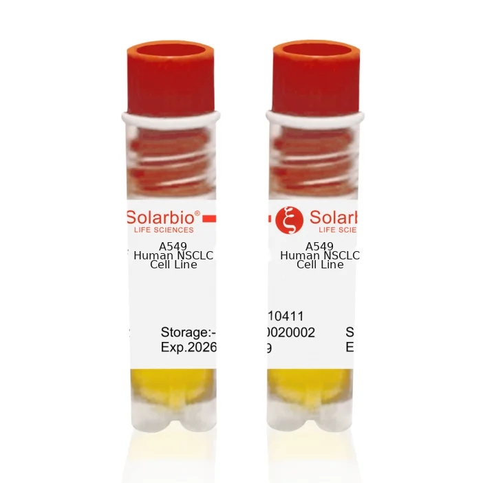 Solarbio A549 human lung cancer cell line supports lung cancer and respiratory epithelial research
