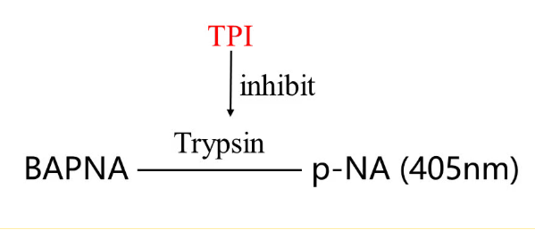 Trypsin Inhibitor Activity Assay: A Simple Spectrophotometric Method Trypsin Inhibitor Activity Assay: A Simple Spectrophotometric Method